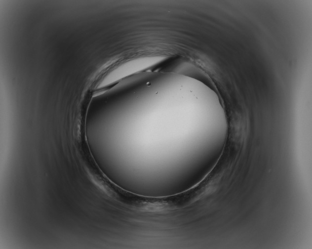 X0000084550446200703021509