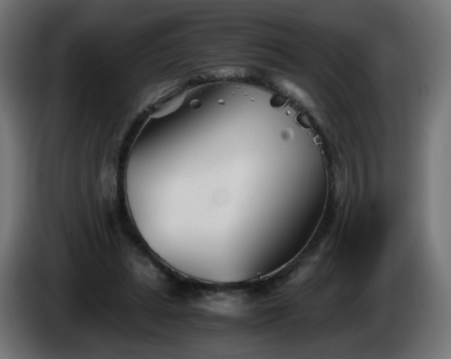 X0000084550447200703021509