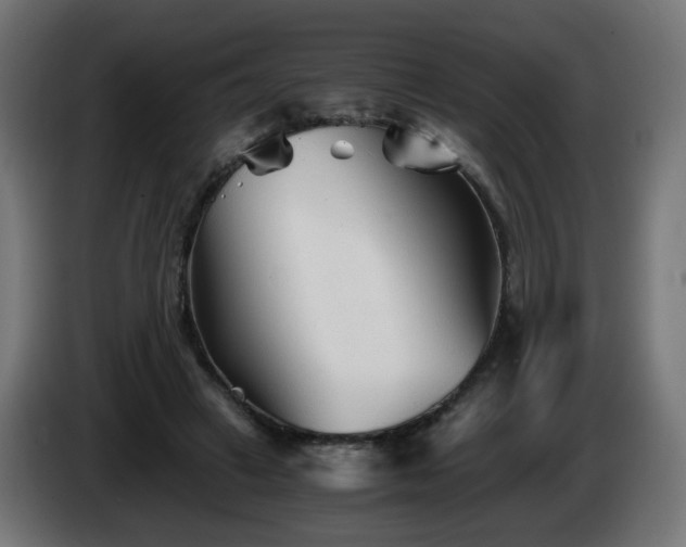 X0000084550449200703021509