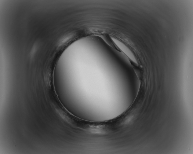 X0000084550450200703021509