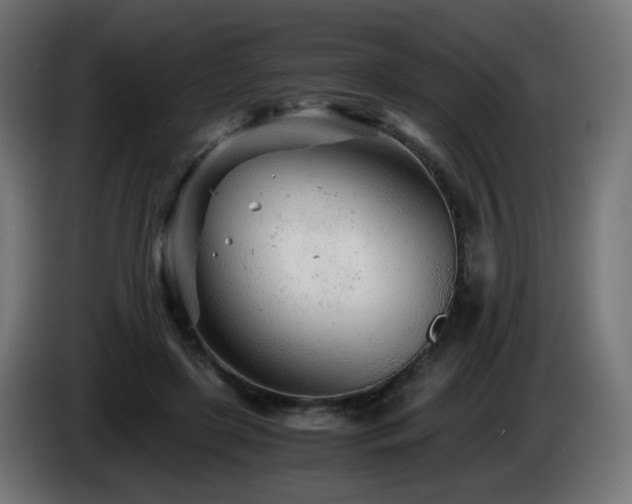X0000084550451200703021509