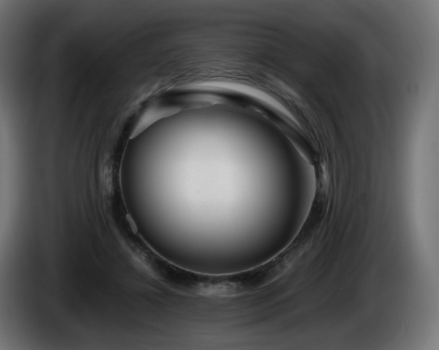 X0000084550452200703021509