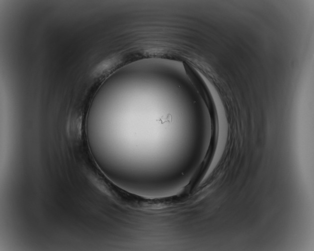 X0000084550454200703021509