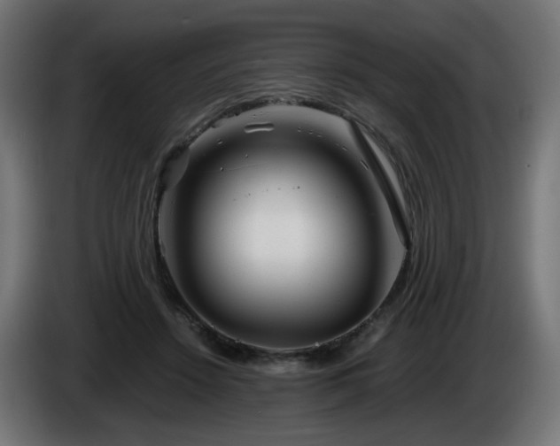 X0000084550456200703021509