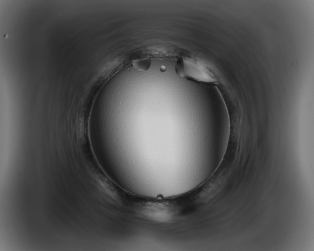 X0000084550457200703021509