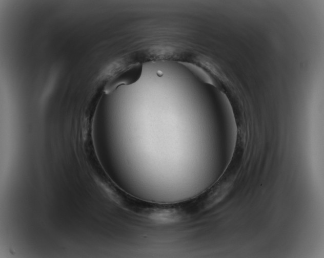 X0000084550458200703021510