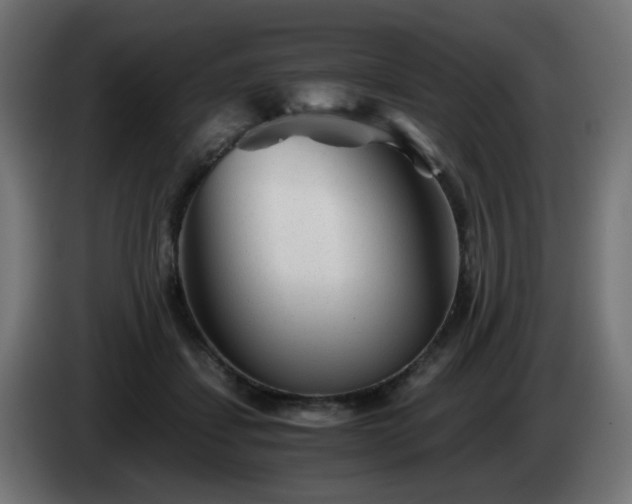 X0000084550459200703021510