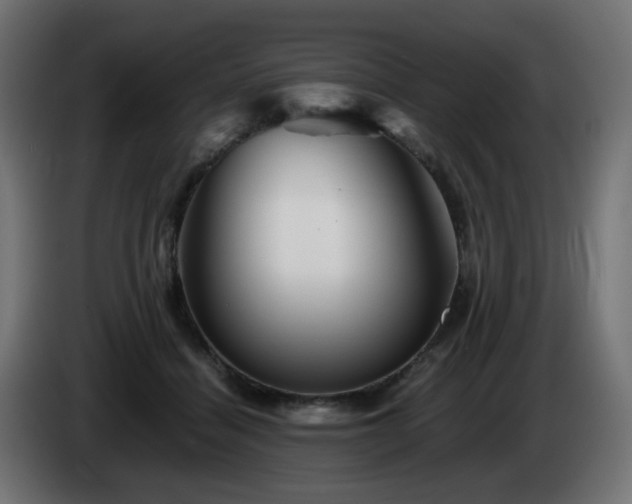 X0000084550460200703021510