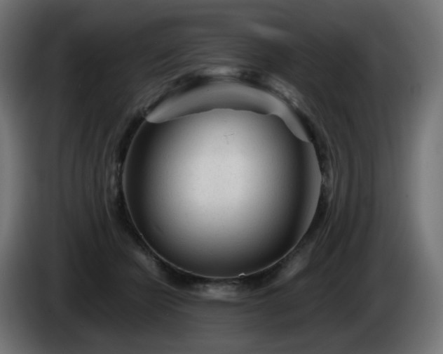 X0000084550462200703021510