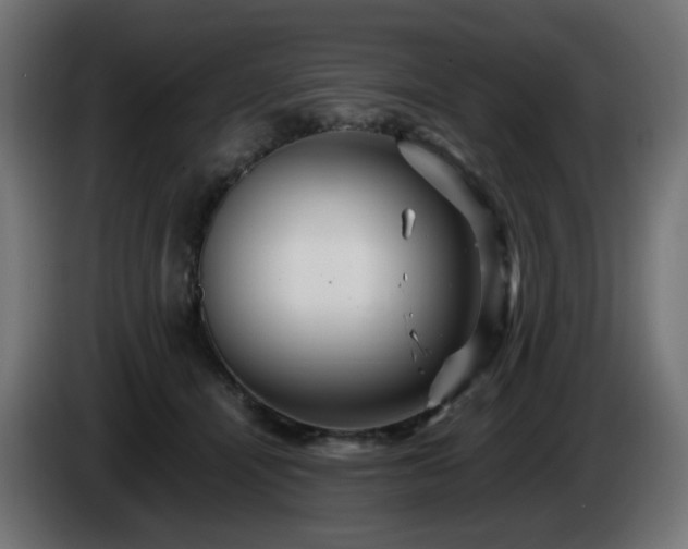X0000084550464200703021510