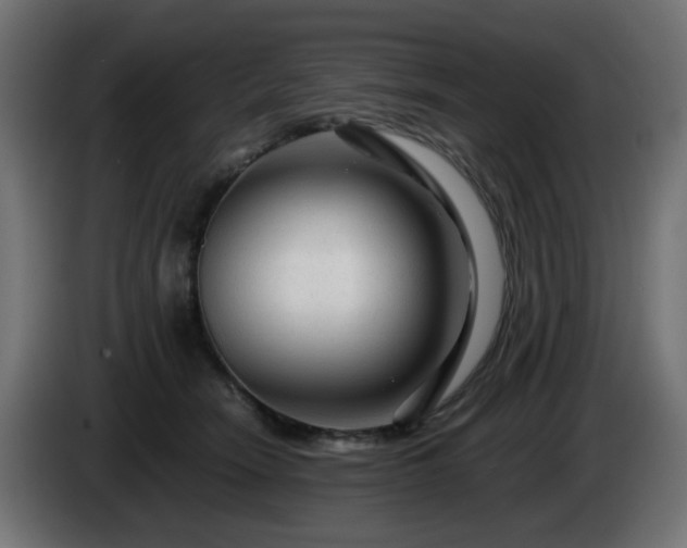 X0000084550466200703021510