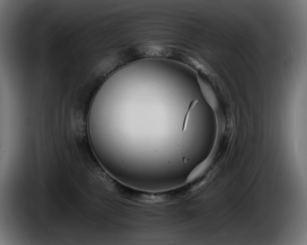 X0000084550469200703021510