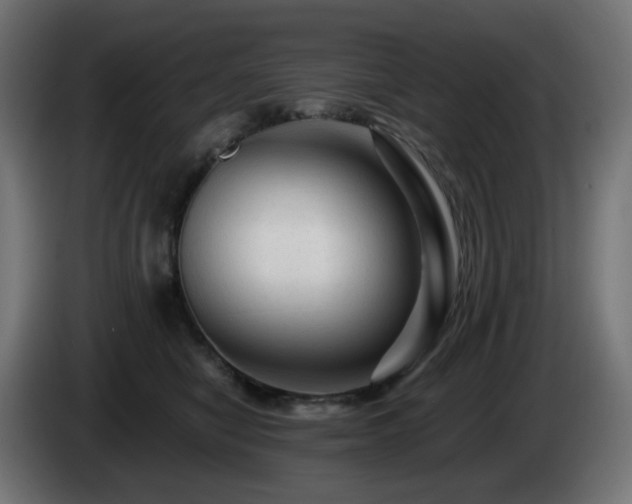 X0000084550470200703021510