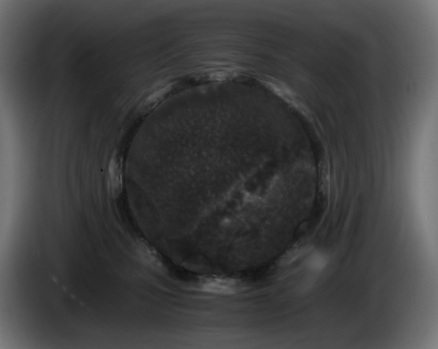 X0000084550471200703021510