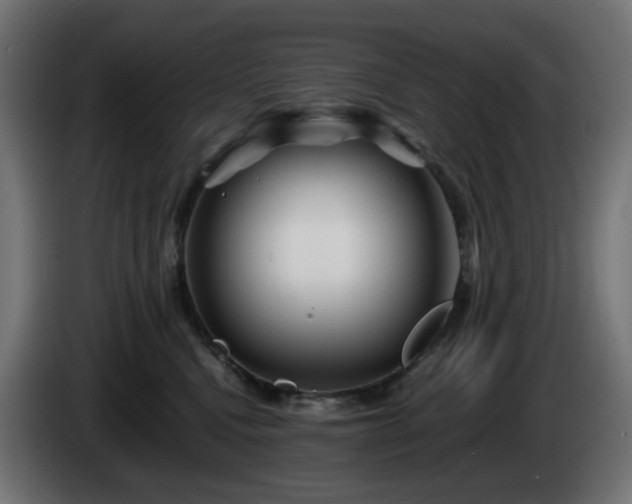 X0000084550472200703021510