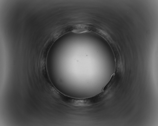 X0000084550473200703021510