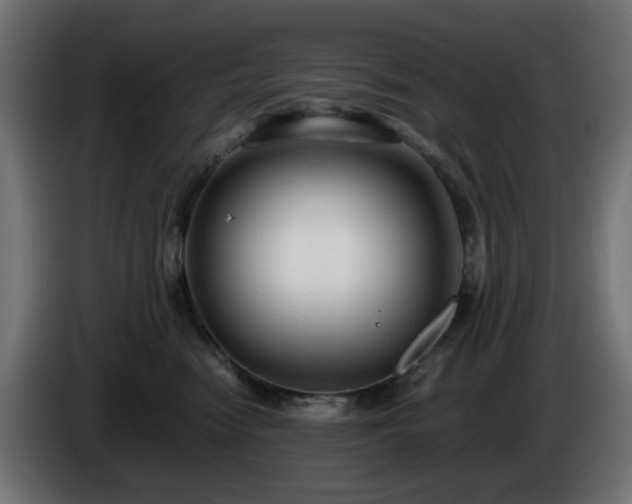 X0000084550474200703021510
