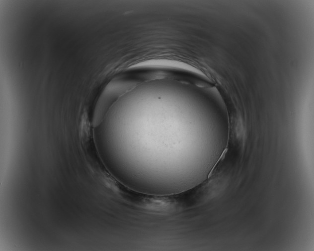 X0000084550475200703021510