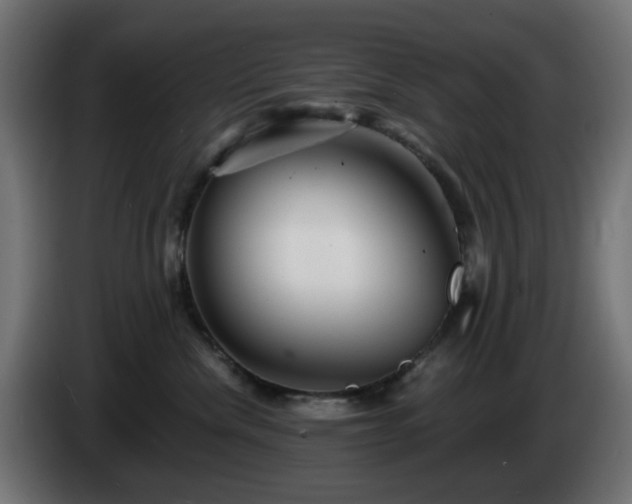 X0000084550476200703021510