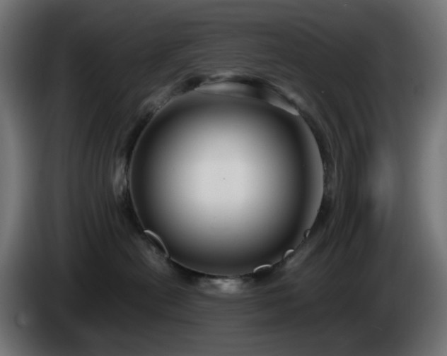 X0000084550478200703021510