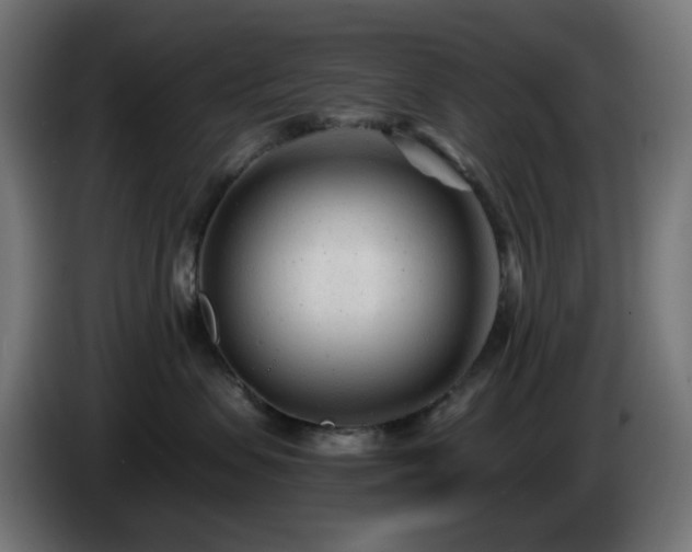 X0000084550479200703021510