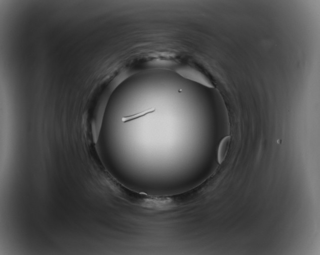 X0000084550480200703021510