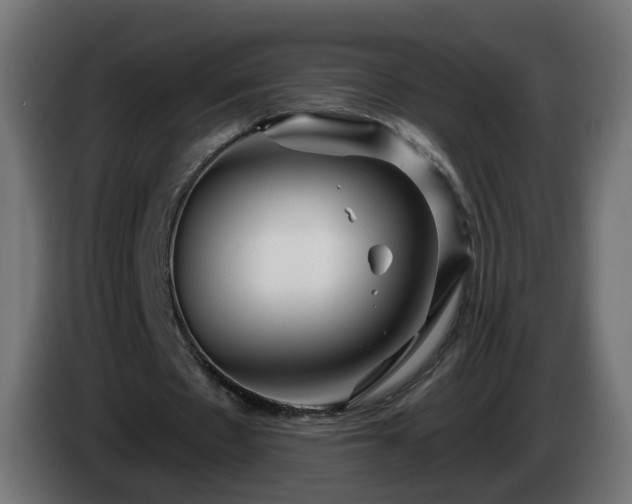 X0000084550481200703021509