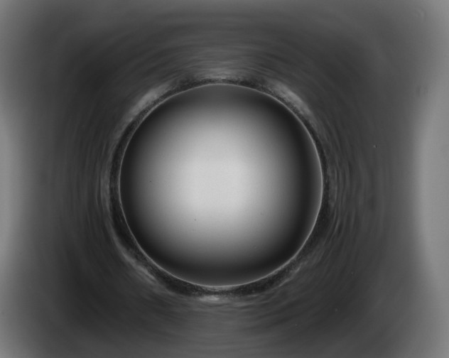 X0000084550482200703021509