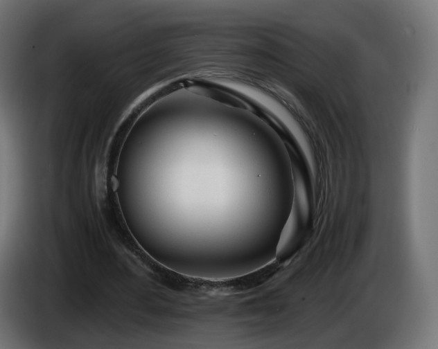 X0000084550484200703021509