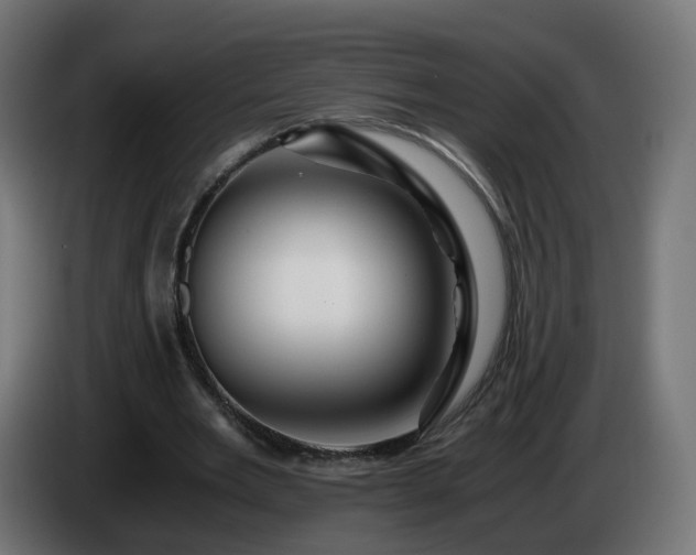 X0000084550485200703021509