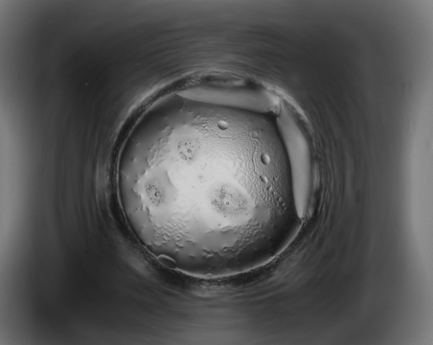 X0000084550487200703021509