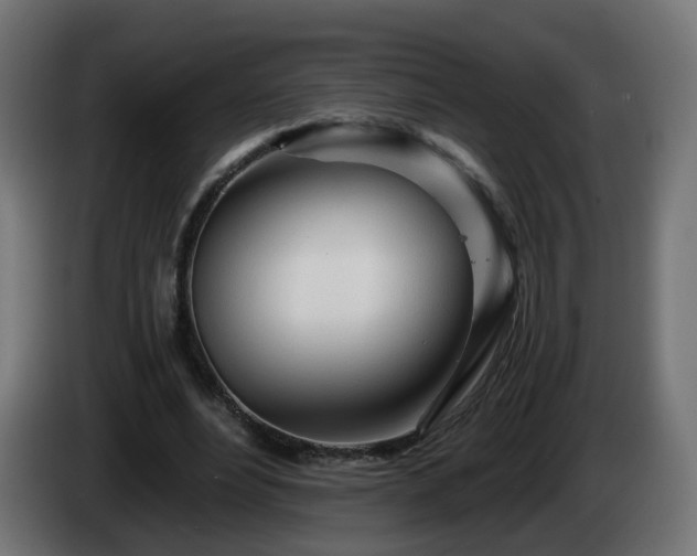 X0000084550488200703021509