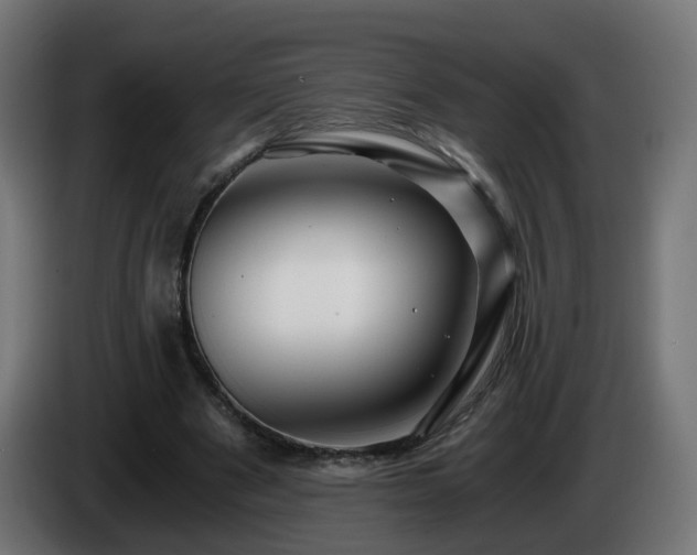 X0000084550489200703021509