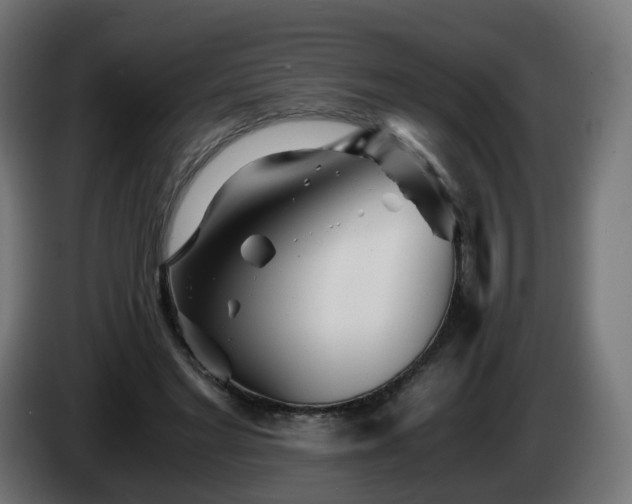 X0000084550493200703021509