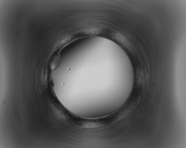X0000084550494200703021509