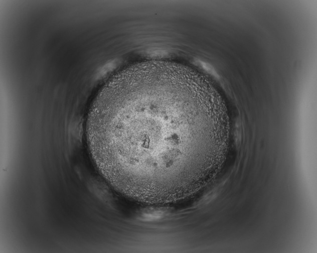 X0000084550495200703021509