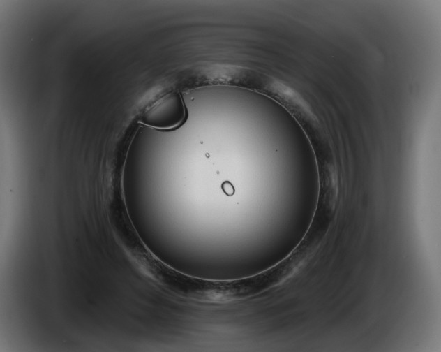 X0000084550496200703021509