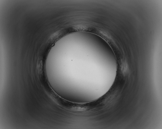 X0000084550498200703021509