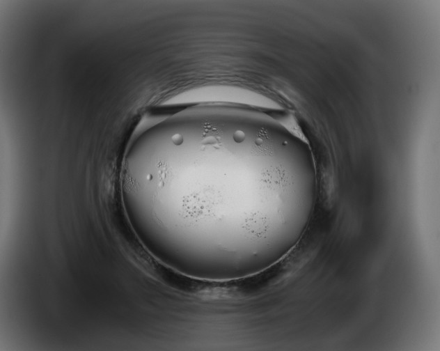 X0000084550499200703021509