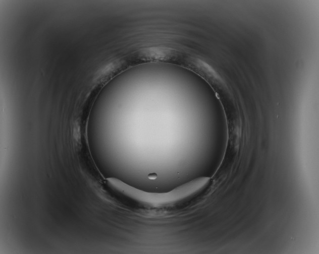 X0000084550500200703021509