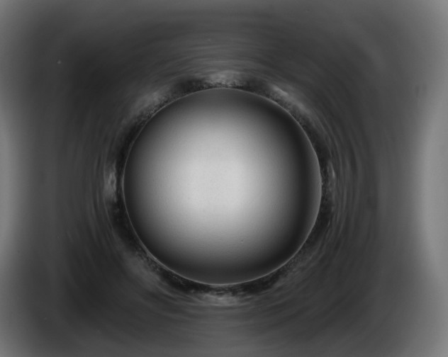 X0000084550502200703021509
