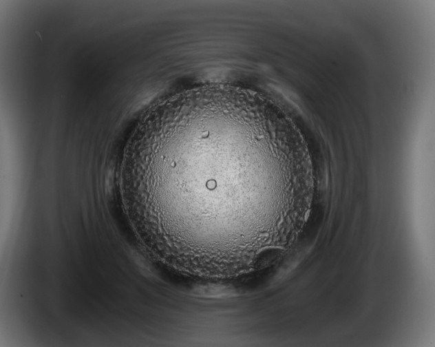 X0000084550503200703021509