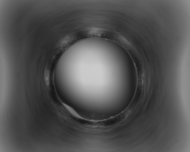 X0000084550504200703021509