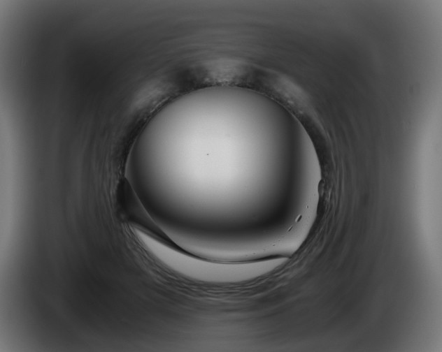 X0000084550505200703021509