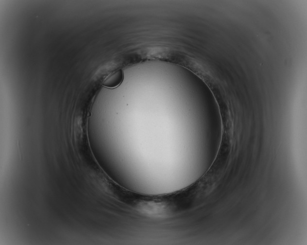 X0000084550506200703021509