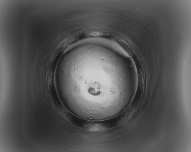 X0000084550507200703021509