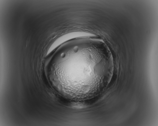X0000084550511200703021509