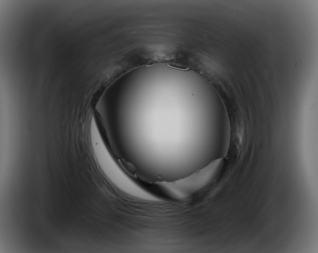 X0000084550512200703021509