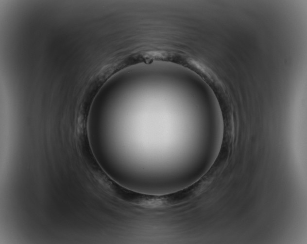 X0000084550513200703021509