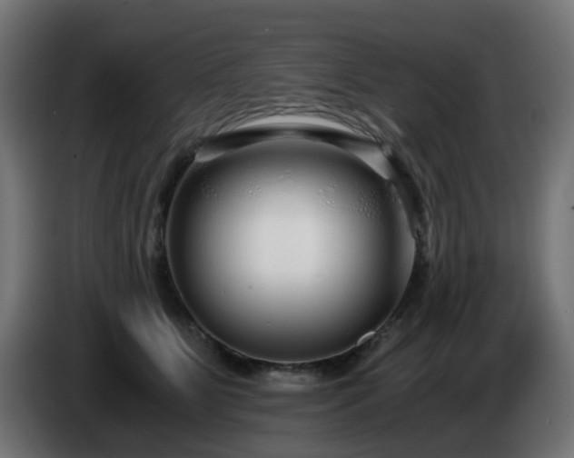 X0000084550515200703021509